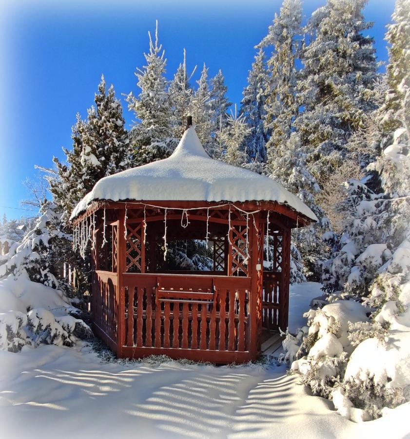 Willa Juna Tatry Nowe Bystre Εξωτερικό φωτογραφία