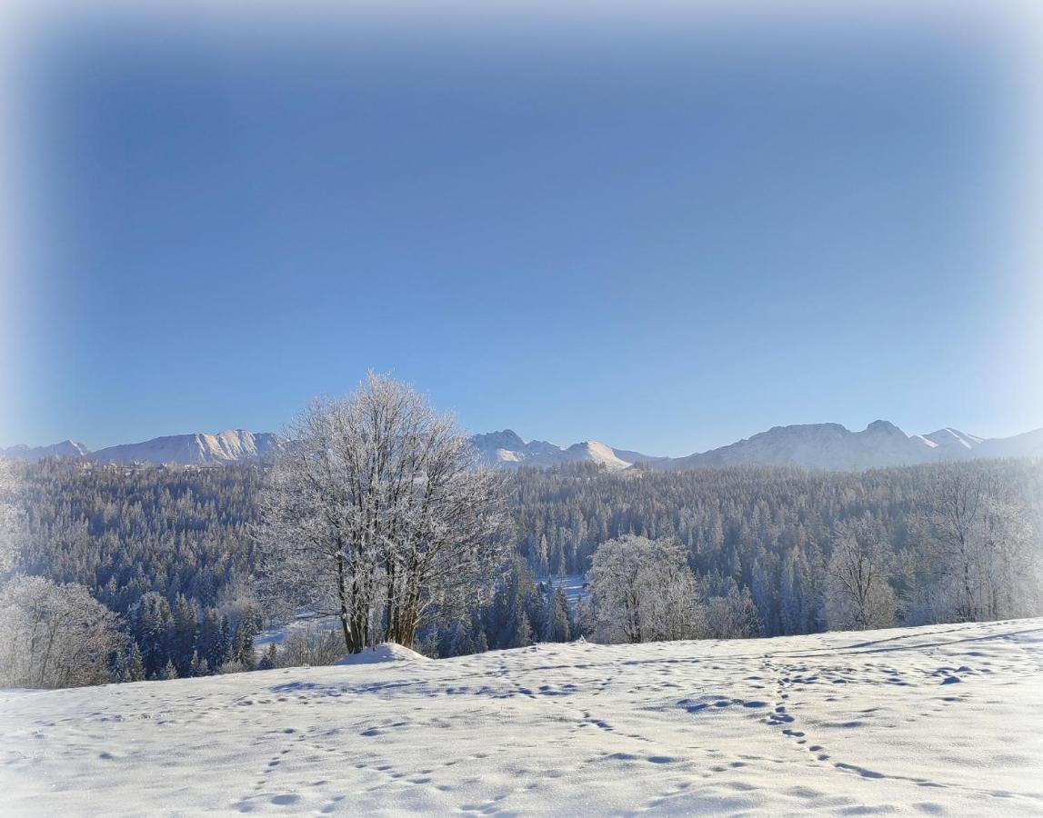 Willa Juna Tatry Nowe Bystre Εξωτερικό φωτογραφία