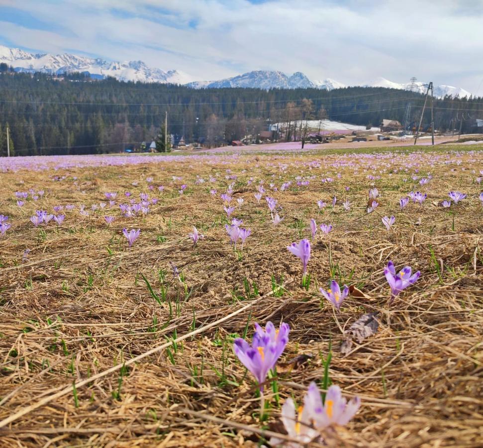 Willa Juna Tatry Nowe Bystre Εξωτερικό φωτογραφία